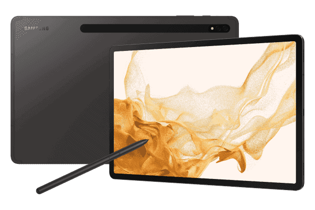 Samsung Galaxy Tab S8 Wi-Fi 256 Go (gris foncé)
