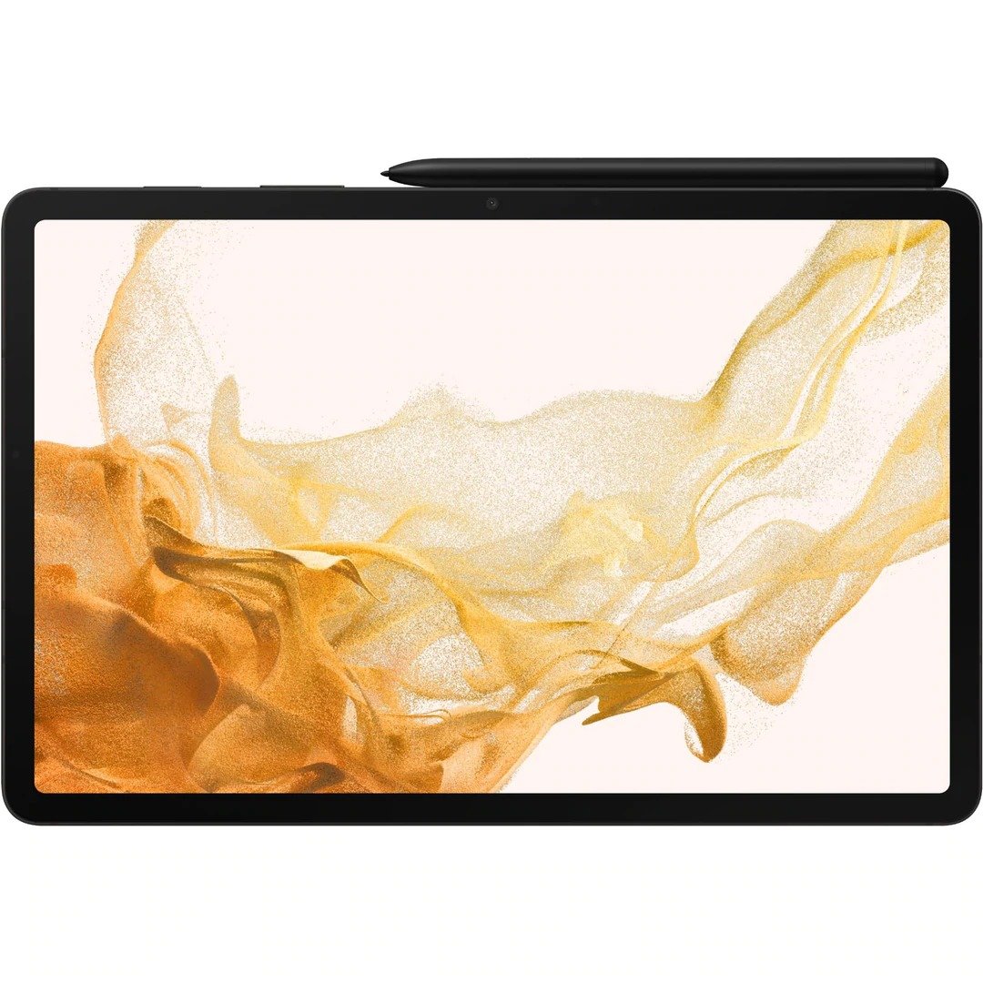 Samsung Galaxy Tab S8 Wi-Fi 256 Go (gris foncé)