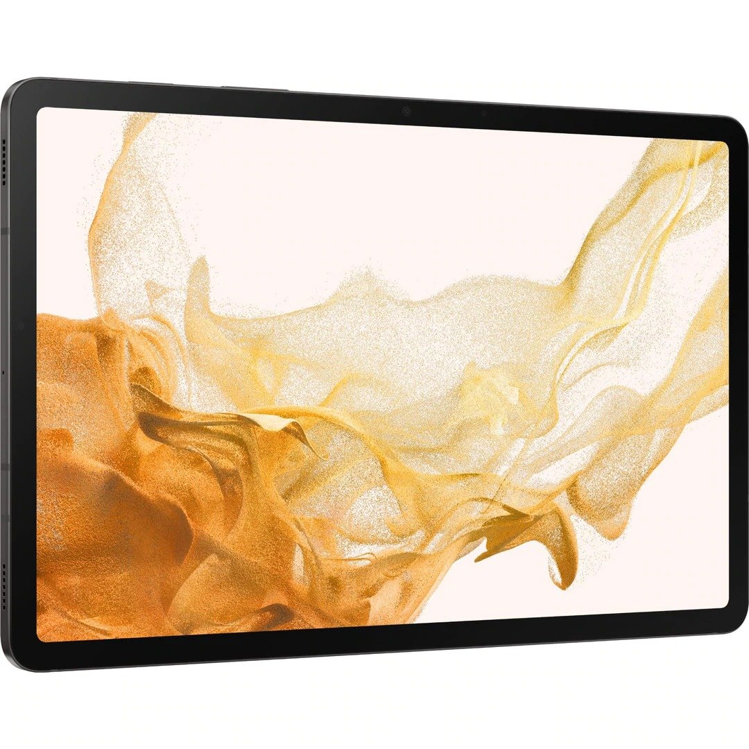 Samsung Galaxy Tab S8 Wi-Fi 256 Go (gris foncé)
